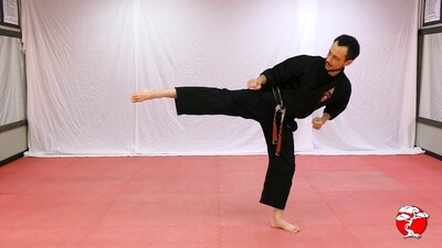 #3 Purple Belt DVD - Retana Kenpo Karate System