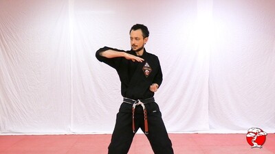 #3 Purple Belt - Digital Download Video & Manual