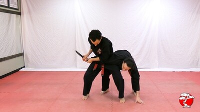 #4 Blue Belt - Digital Download Video & Manual