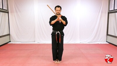 #4 Blue Belt DVD - Retana Kenpo Karate System