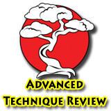 Brown Belt Technique Review (All 3 Brown Belts!) Brown Belt Technique Review (All 3 Brown Belts!)