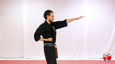 #5 Green Belt DVD - Retana Kenpo Karate System