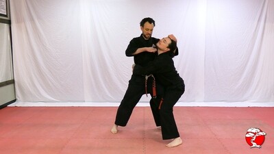 #5 Green Belt - Digital Download Video & Manual