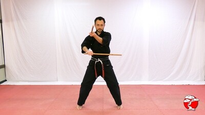 #6 3rd Class Brown Belt - Digital Download Video & Manual