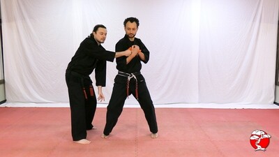 #6 3rd Class Brown Belt DVD - Retana Kenpo Karate System