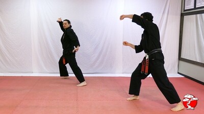 #7 2nd Class Brown Belt DVD - Retana Kenpo Karate System