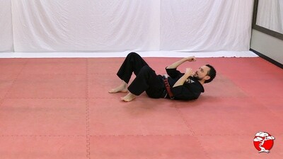 #7 2nd Class Brown Belt - Digital Download Video & Manual