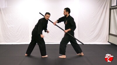 #8 1st Class Brown Belt - Digital Download Video & Manual
