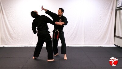 #9 1st Degree Black Belt - Digital Download Video & Manual