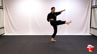 #9 1st Degree Black Belt DVD - Retana Kenpo Karate System