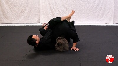 #10 2nd, 3rd & 4th Degree Black Belt Review Digital Download