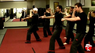 3 Kenpo Seminar DVD Bundle