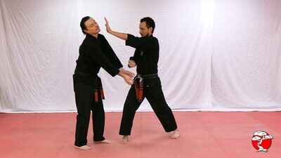 Yellow thru Black Belt Complete 9 Rank DIGITAL Bundle (SAVE $72!)
