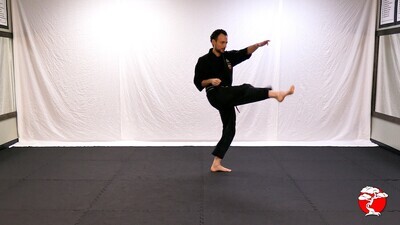 Yellow thru Black Belt Complete 9 Rank DVD Bundle (SAVE $72!)