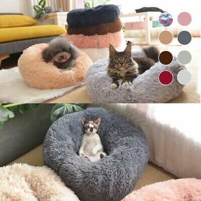 Comfy marshmallow 2025 dog bed