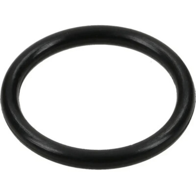 O-Ring SKM BG3