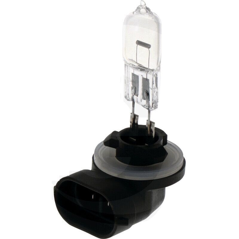 Glühlampe 12V/50 W