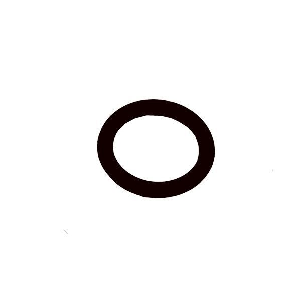 O-ring