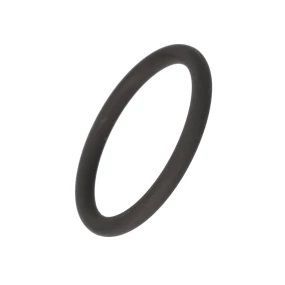 Case O-Ring, 1288 350165