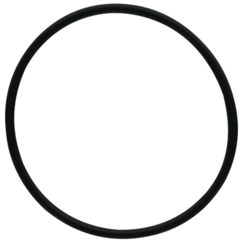DANA Spicer O - Ring