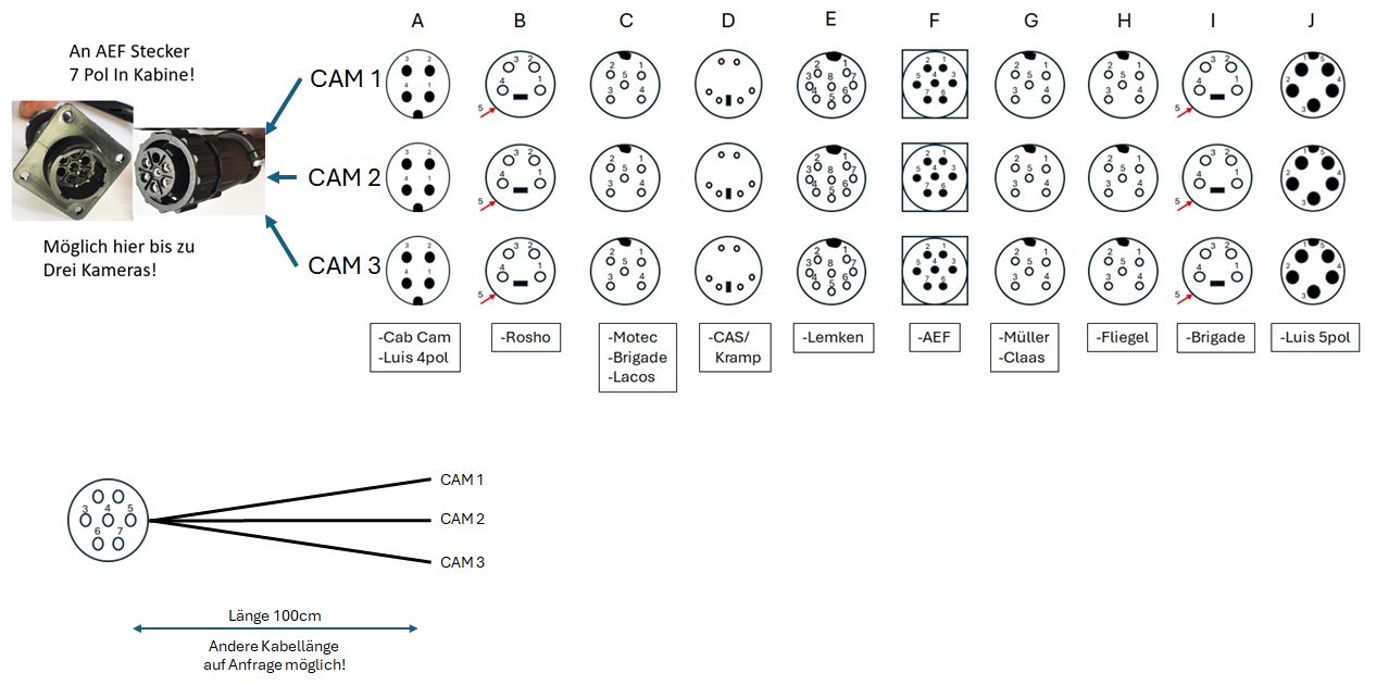 AEF Matrix