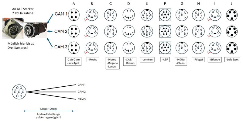 AEF Matrix