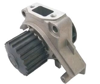 Wasserpumpe LDW X02/X03 Focs