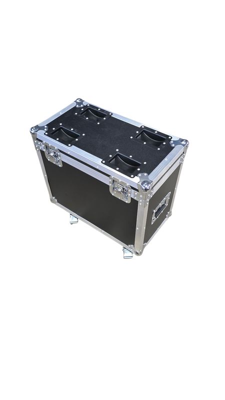 CASE für 2x BEAM WASH etc.