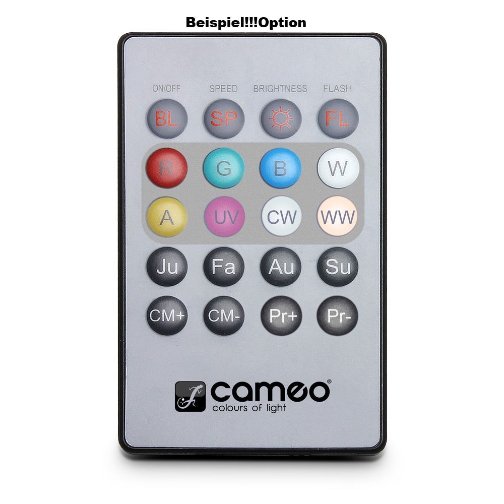 FLAT PAR CAN REMOTE FLAT PAR CAN REMOTE