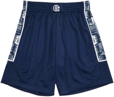 Georgetown Hoyas 95-96 Men's Navy Blue Mitchell & Ness Swingman Shorts