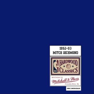 Men's Mitchell & Ness Mitch Richmond Blue Sacramento Kings Hardwood  Classics Swingman Jersey