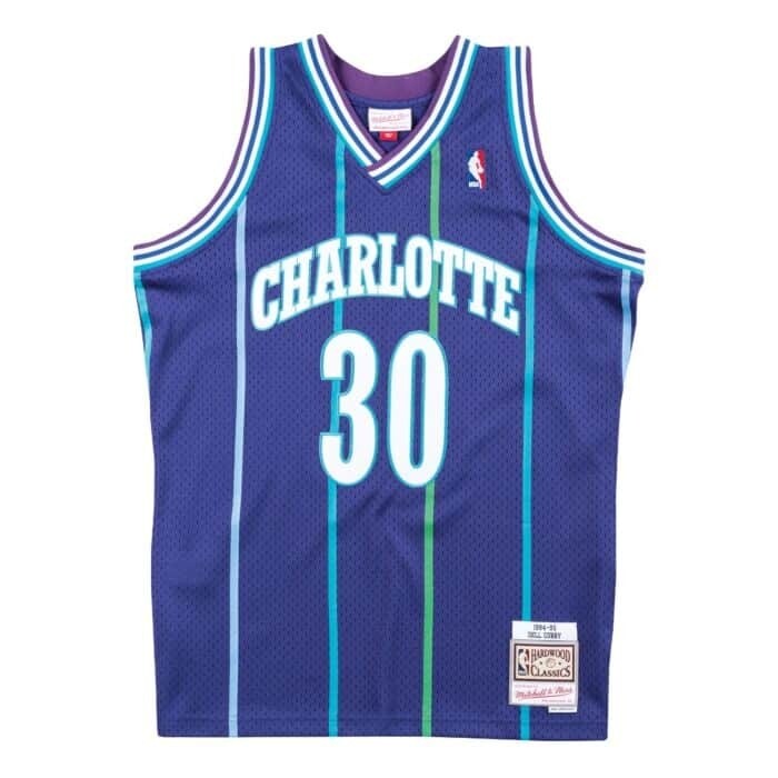 Charlotte Hornets Dell Curry 1994-95 Men's Purple Mitchell & Ness Swingman Jersey