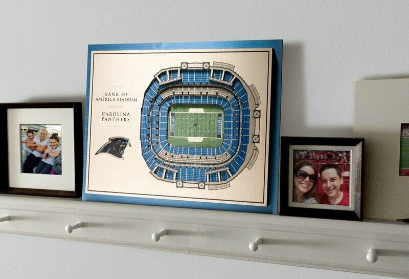 Carolina Panthers 5 Layer StadiumViews 3D Wall Art