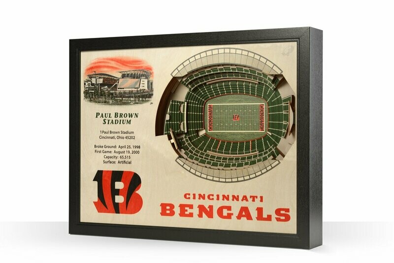 Cincinnati Bengals 25 Layer StadiumViews 3D Wall Art