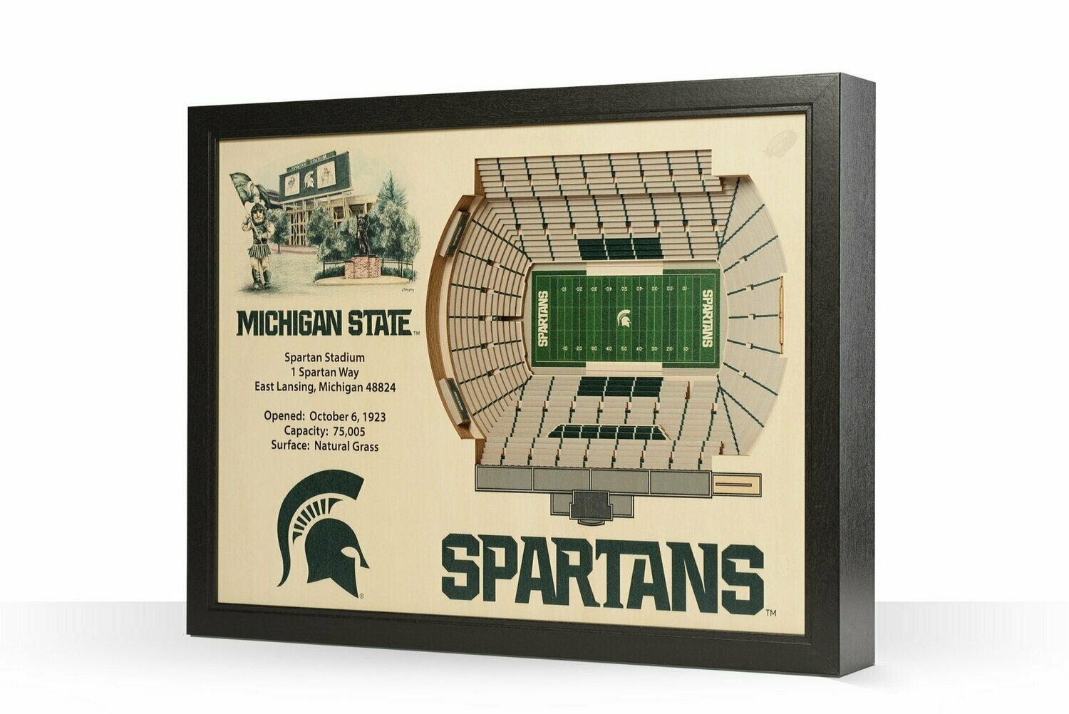 Michigan State Spartans 25 Layer StadiumViews 3D Wall Art