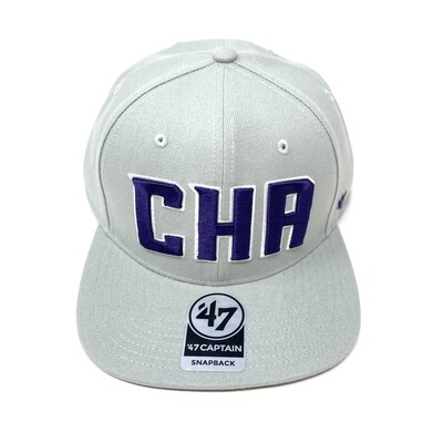 Charlotte Hornets Men’s 47 Brand Captain Snapback Hat