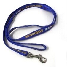 Jeff Gordon #24 Dog Leash