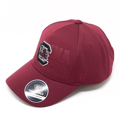 South Carolina Gamecocks Men's Top of the World Snapback Adjustable Hat
