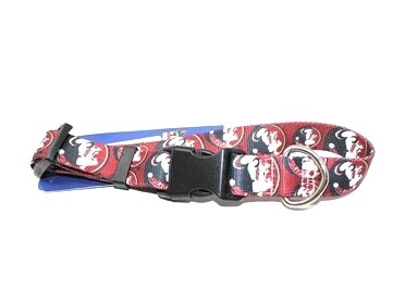 Florida State Seminoles Dog Collar Florida State Seminoles Dog Collar