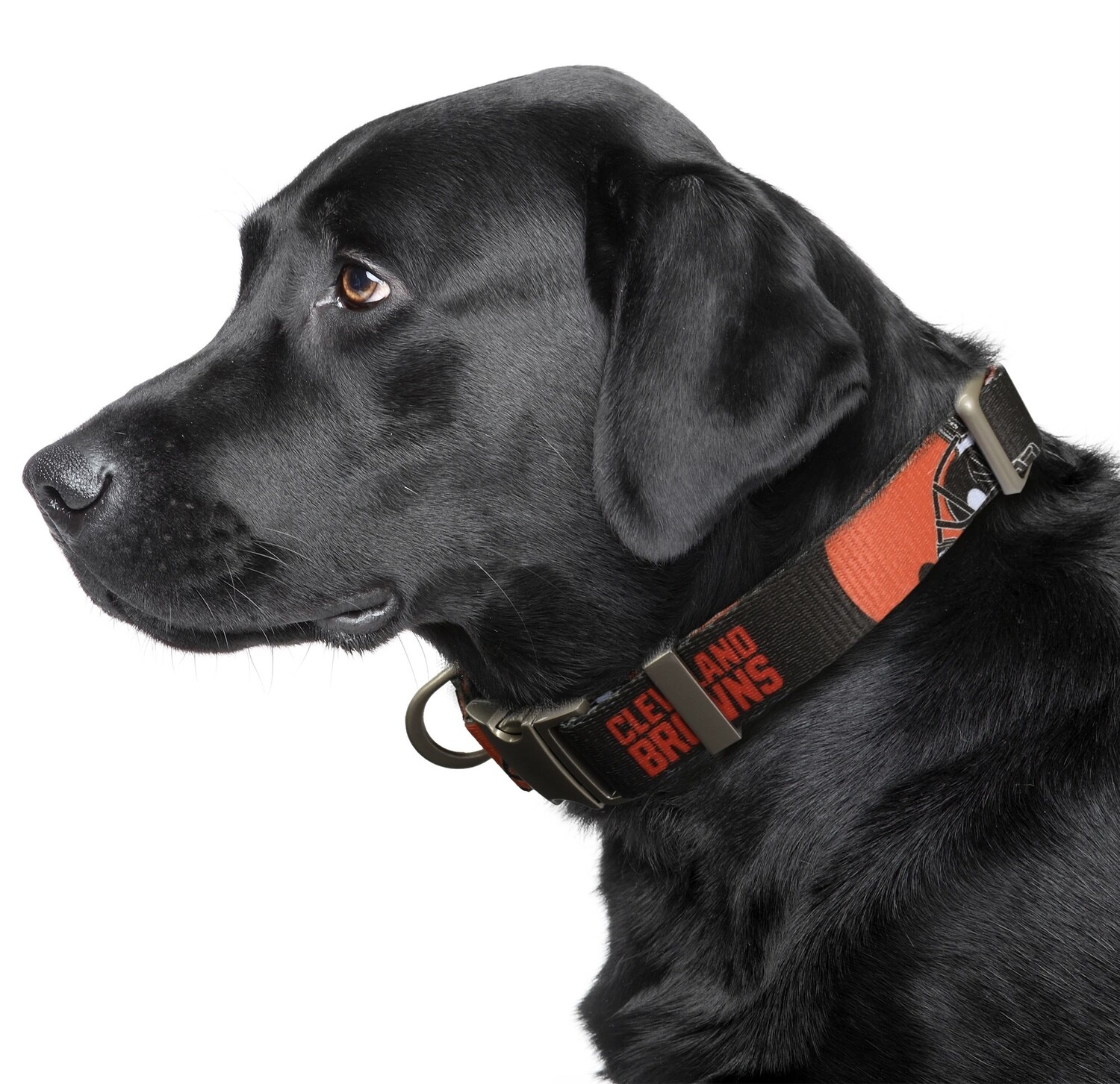 Cleveland Browns Premium Pet Collar