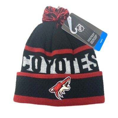 Arizona Coyotes Youth NHL Cuffed Pom Knit Hat