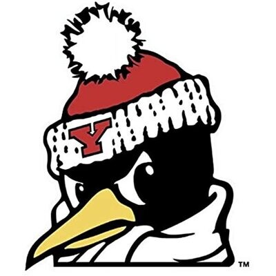 Youngstown State Penguins Logo 4" x 4" Perfect Cut Color Decal