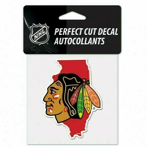 Chicago Blackhawks State 4" x 4" Perfect Cut Color Decal