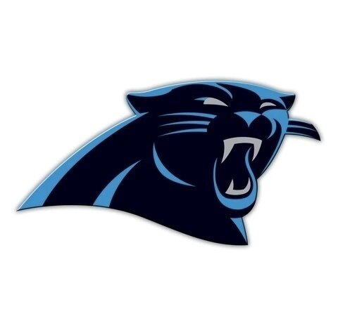 Carolina Panthers 12” Vinyl Team Magnet