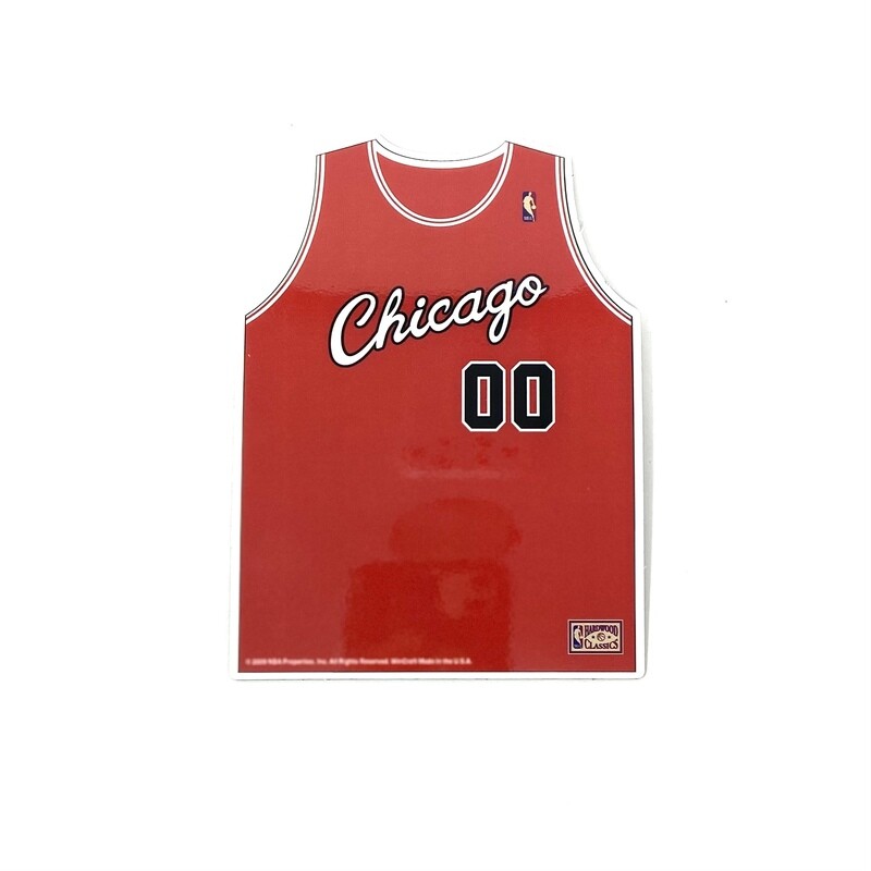 Chicago Bulls Die Cut Logo Magnet