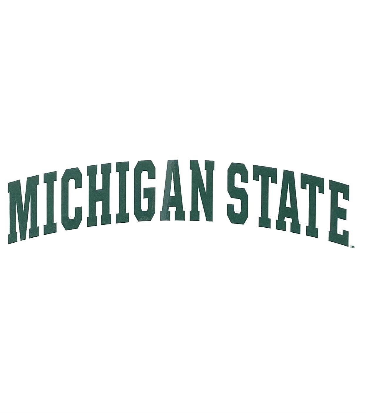 Michigan State Spartans 3" x 10" Perfect Cut Color Decal