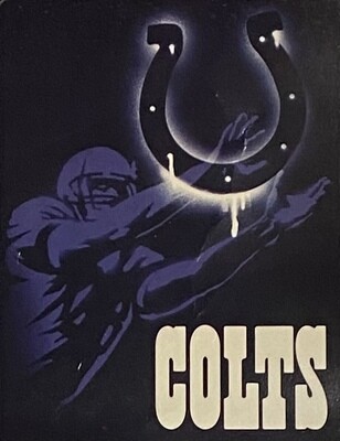 Indianapolis Colts 60" x 80" Plush Woven Throw Blanket