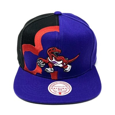 Toronto Raptors Men’s Retroline Mitchell & Ness Snapback Hat