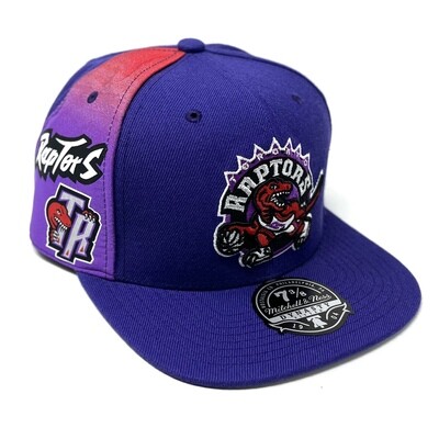 Toronto Raptors Men’s NBA Tapestry Mitchell & Ness Fitted Hat