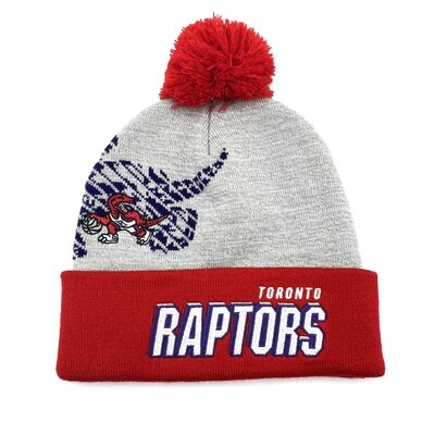 Toronto Raptors Men’s Mitchell & Ness Gray Hardwood Classics Draft Cuffed Knit Hat with Pom